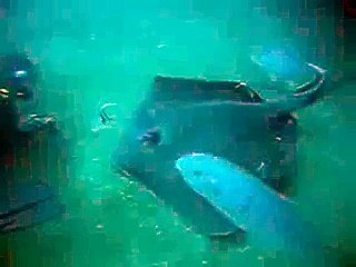 BRINO MADAGASCAR SAINTE MARIE