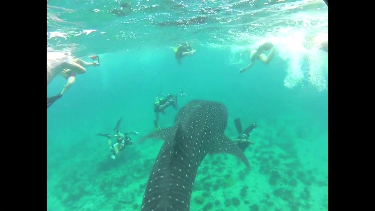 GP anniversaire 40 ans