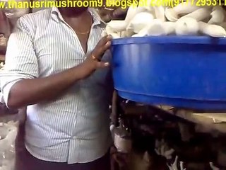 mushroom cultivation in telugu
