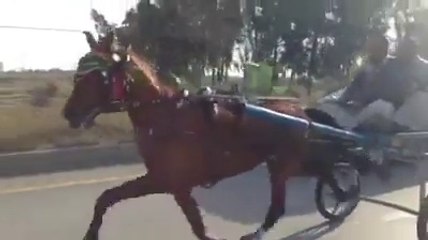 charsi wachera horse race rawalpindi