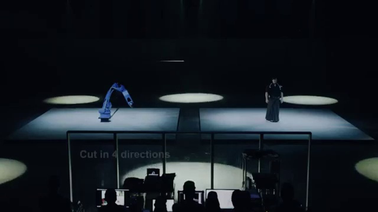 Robot VS Sword Master