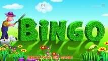 Bingo Dog Song - Nursery Rhymes Karaoke Songs With Lyrics - ChuChu TV Rock 'n' Roll