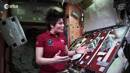 Cooking in space: How to make a meal in zero gravity