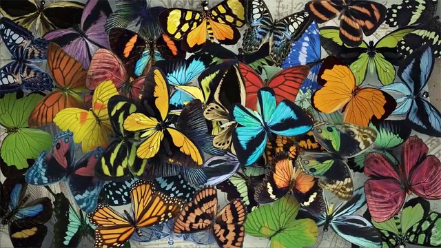 After Effects Project Files - Last Hero - VideoHive 10303829