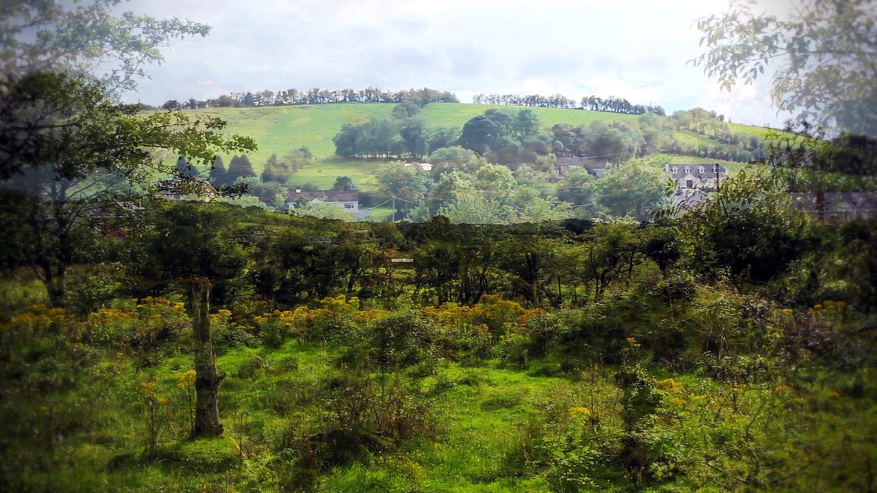 Celtic Dreams - DM Kruger - The Dance