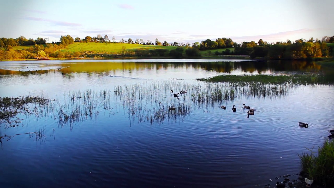 Celtic Dreams - DM Kruger - The Whispering Lake