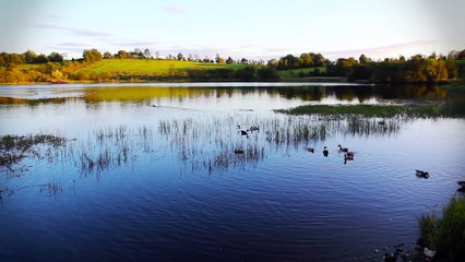 Celtic Dreams - DM Kruger - The Whispering Lake