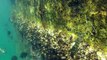 Moreton Island treasures: snorkelling the Tangalooma Wrecks