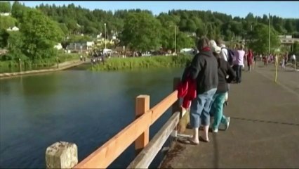 Aux États-Unis, un faux orque pour chasser les lions de mer