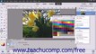 Photoshop Elements 13 Tutorial Selecting Colors with the Swatches Panel Adobe Training