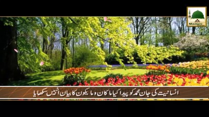 Tilawat-e-Quran - Surah Rehman