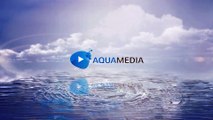 After Effects Project Files - Clean Logo V03 Water Ripples - VideoHive 8960200