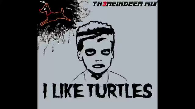 I Like Turtles! - Dubstep Remix