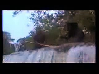 Robin Hood Prince Of Thieves