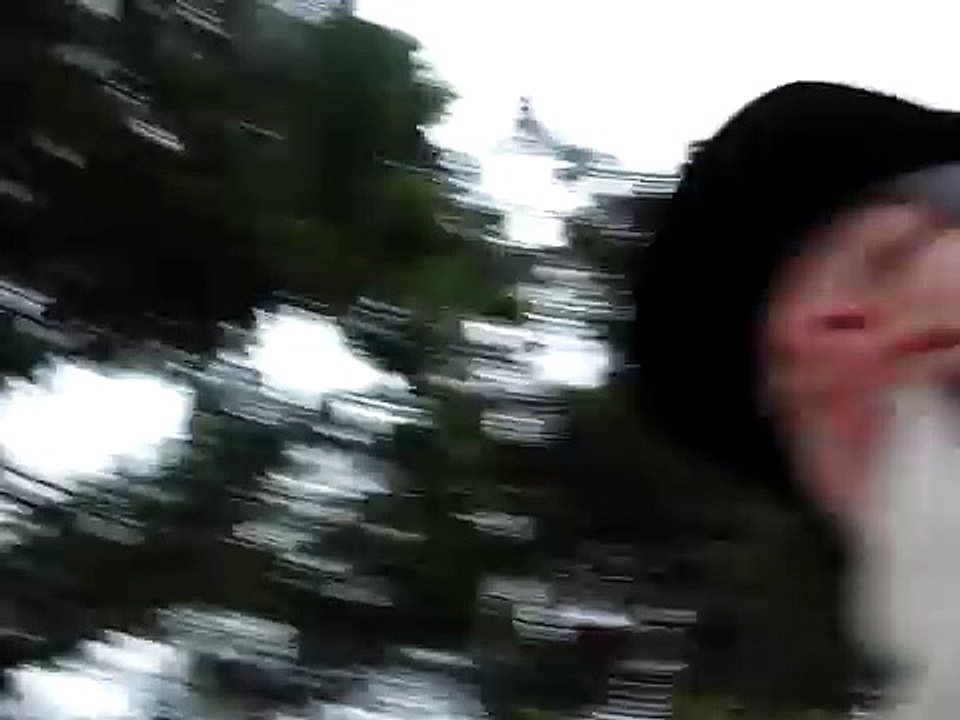 Fast forest ride