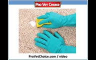 Best Carpet Pet Cleaner