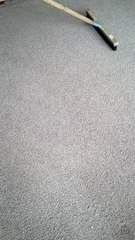 Resetting Carpet Pile
