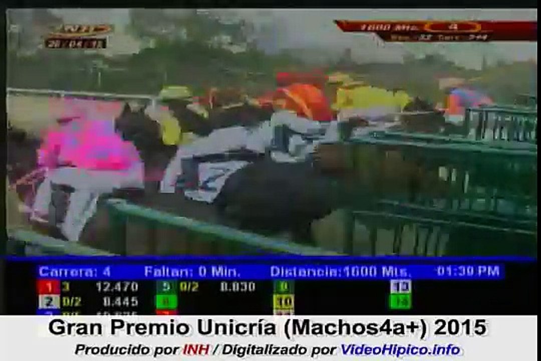 Gran Premio Unicria Machos 4+a 2015