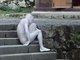 Butoh Dance Performance in Japan