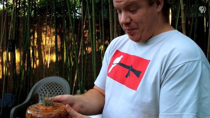 KLRU Collective: Shawn Roberts