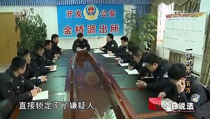 《今日说法》 20150603 一张机票一百万