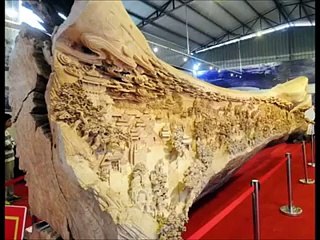 This tree has his own World Record... Which one?