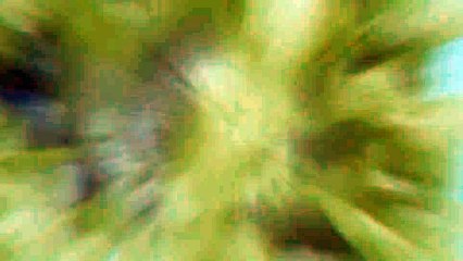 After Effects Project Files - Ink Reveal - VideoHive 8745818