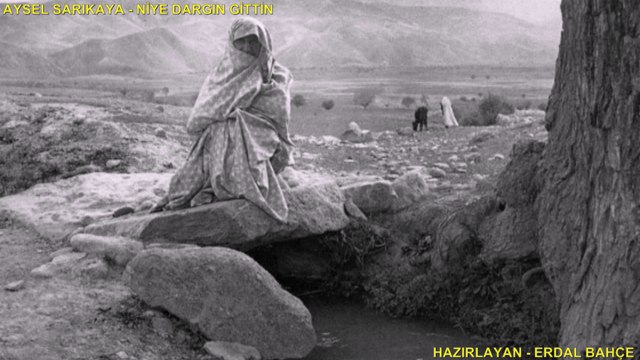 AYSEL SARIKAYA-NİYE DARGIN GİTTİN