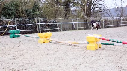 Dorine de Cabue