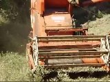 Harvesting peas with a Fahr M60T and Ford 6710