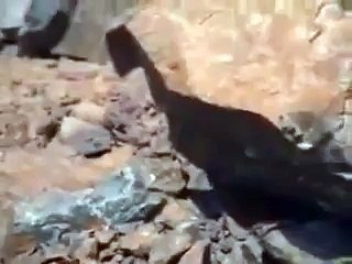 Aap (S.A.W) or Aap Ki Waleda ( Molana Tariq Jameel Video Short Bayan )