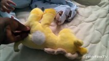 When Babies Start Crawling | CraterFamTV