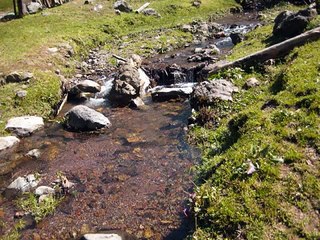 Bonitos Paisajes de Durango, El Salto Pueblo Nuevo