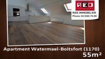 For Rent - Apartment - Watermael-Boitsfort (1170) - 55m²