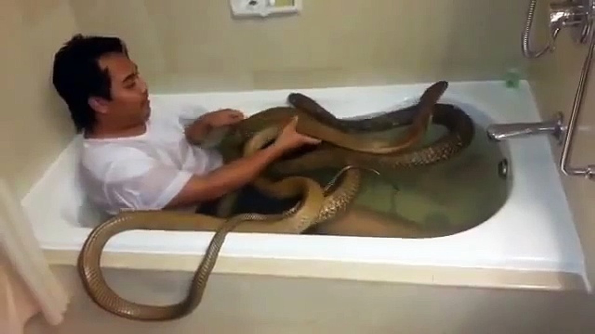Man In Bathtub With Cobra Snakes Video Dailymotion