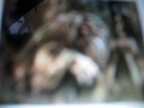 Пугающие Мистические Истории. Леший