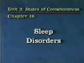 Rusty le chien narcoleptique