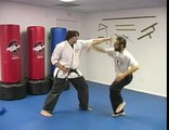 Five Animals Shaolin Martial Arts : Tiger Techniques in Shaolin Martial Arts