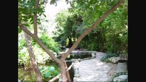 Zilker Botanical Garden, Austin Tx