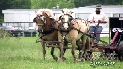 Chariot Spreader - Horse Drawn Manure Spreader
