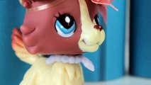 Littlest Pet Shop : ''Les plus belles fleurs'' (Short film) [Trailer] [FR]