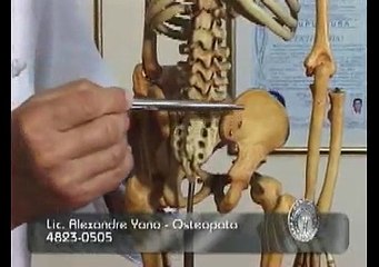 Alexandre Yano - Problemas de columna - Back Pain