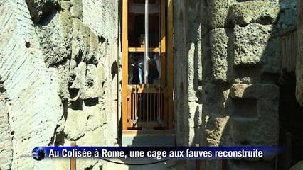 Au Colisée à Rome, une cage aux fauves reconstruite
