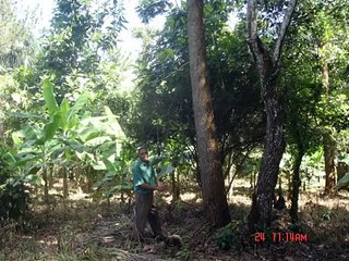 Canciones Sobre el Medio Ambiente, Hay que Hacer Alberto Peralta G.