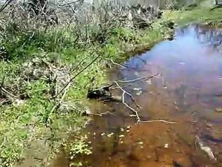 Creek Walking Arrowhead hunting near Austin Texas Arrow head hunt with Sterling and Lana Z