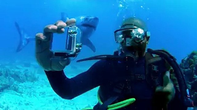 Funny Ad by Turkish Airlines?syndication=228326