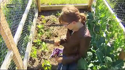 9-Year-Old Girl Is Building Shelters