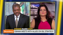 Are U.S. Air Strikes Against Islamic State Working?