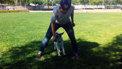 Fona con 6 meses,  iniciación en marcha atrás y backstall...