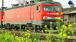 12 Locomotives, On The Same Track - 12 Locomotive, Pe Aceeasi Linie - Curtici